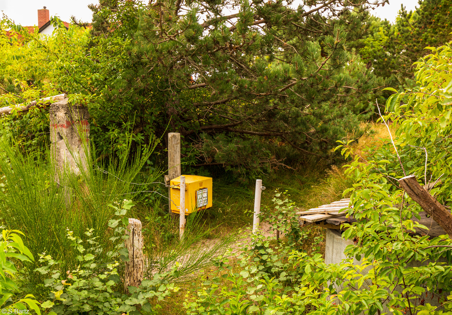 Der Briefkasten -  Hiddensee Post