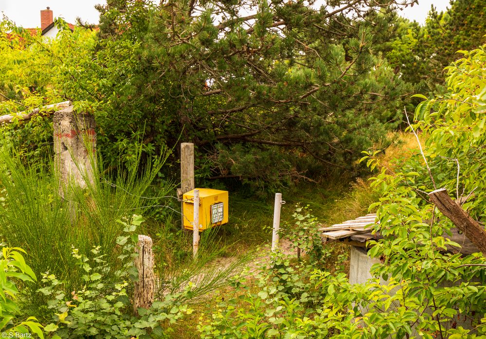 Der Briefkasten -  Hiddensee Post