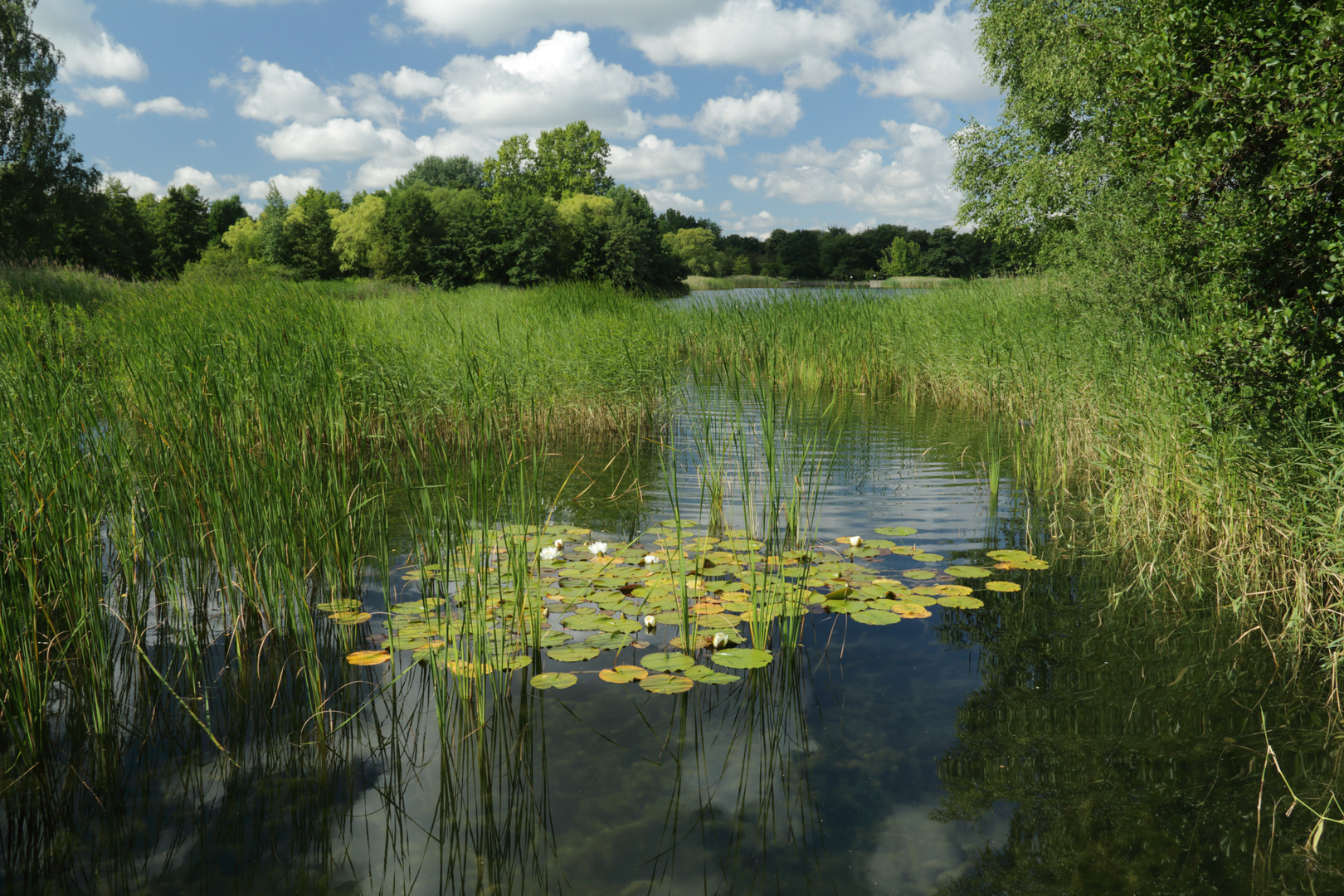 Der Britzer Garten