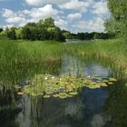 Der Britzer Garten