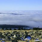 Der Brocken (II)