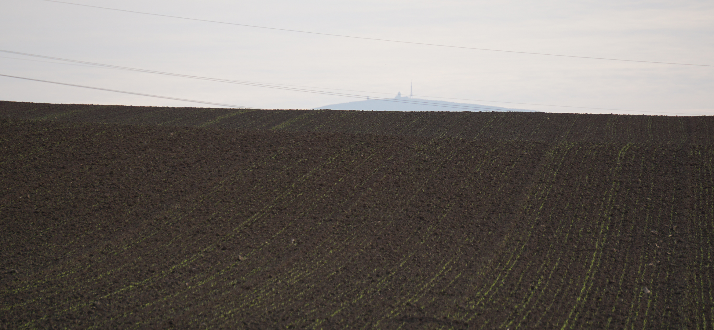 Der Brocken im Harz. 