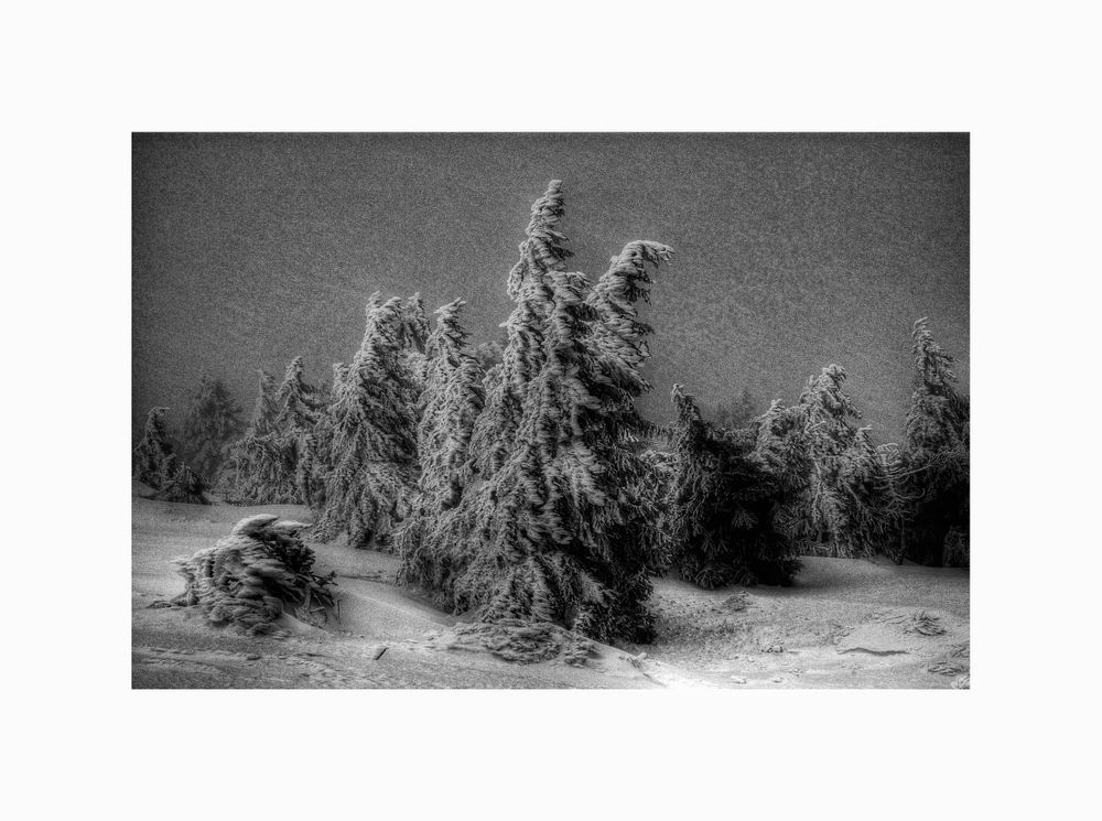 der Brocken, im Schneegestöber.....auch so kann der Brocken SEIN!