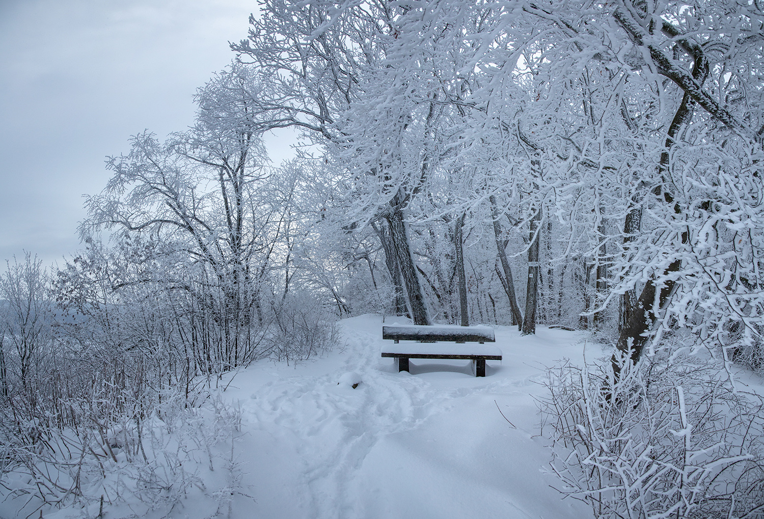 Der Brucker Fels im Winterkleid