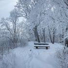 Der Brucker Fels im Winterkleid