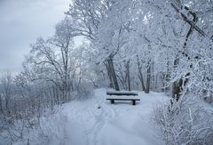 Der Brucker Fels im Winterkleid