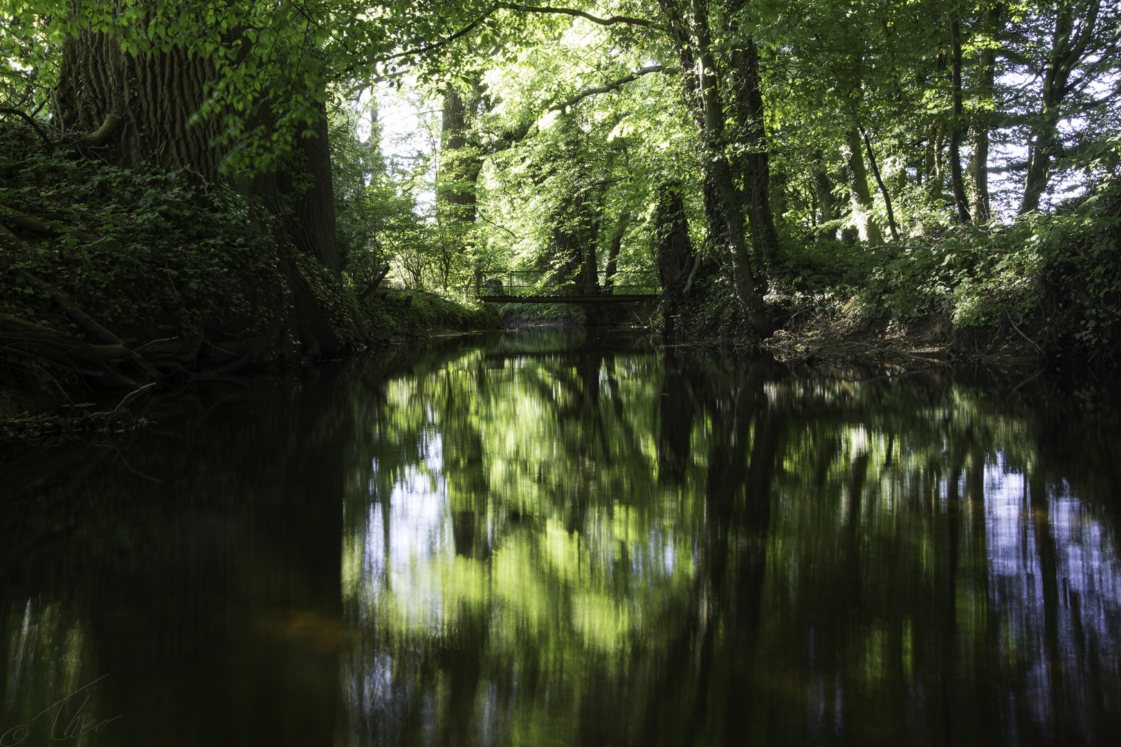 Der Brücke