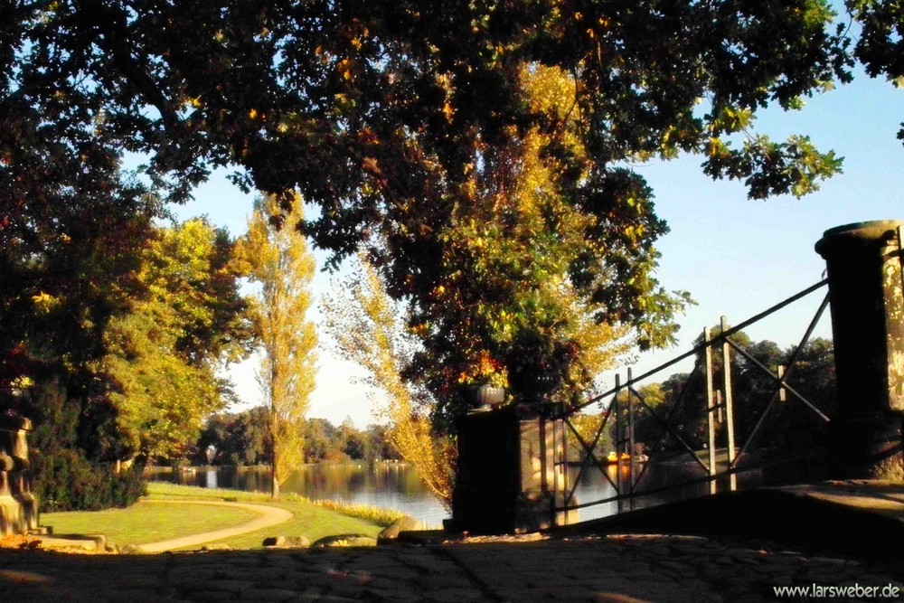 Der Brückenblick in den Wörlitzer Park