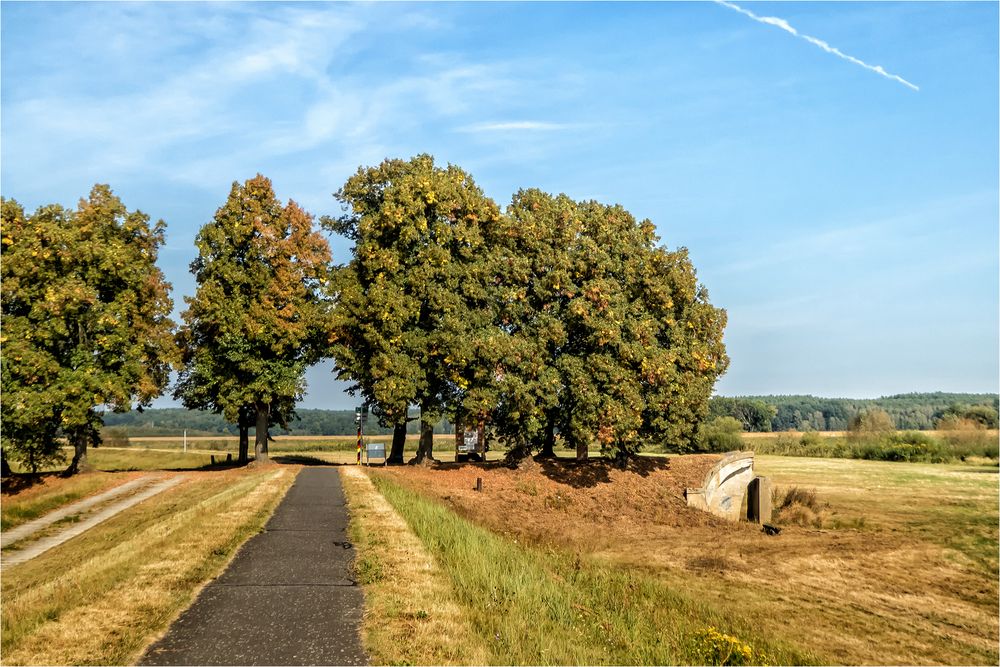 Der Brückenkopf