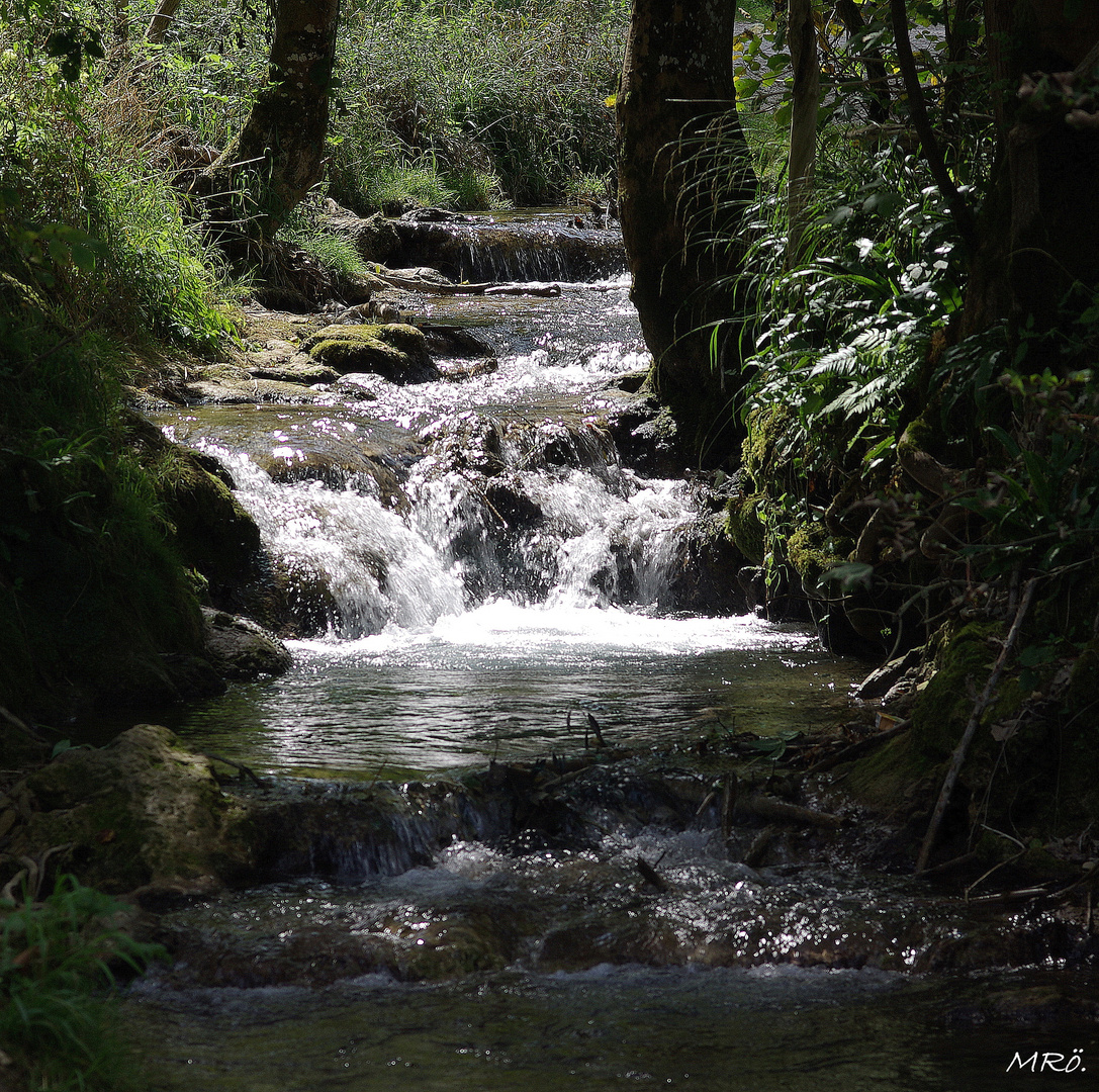 Der Brühlbach