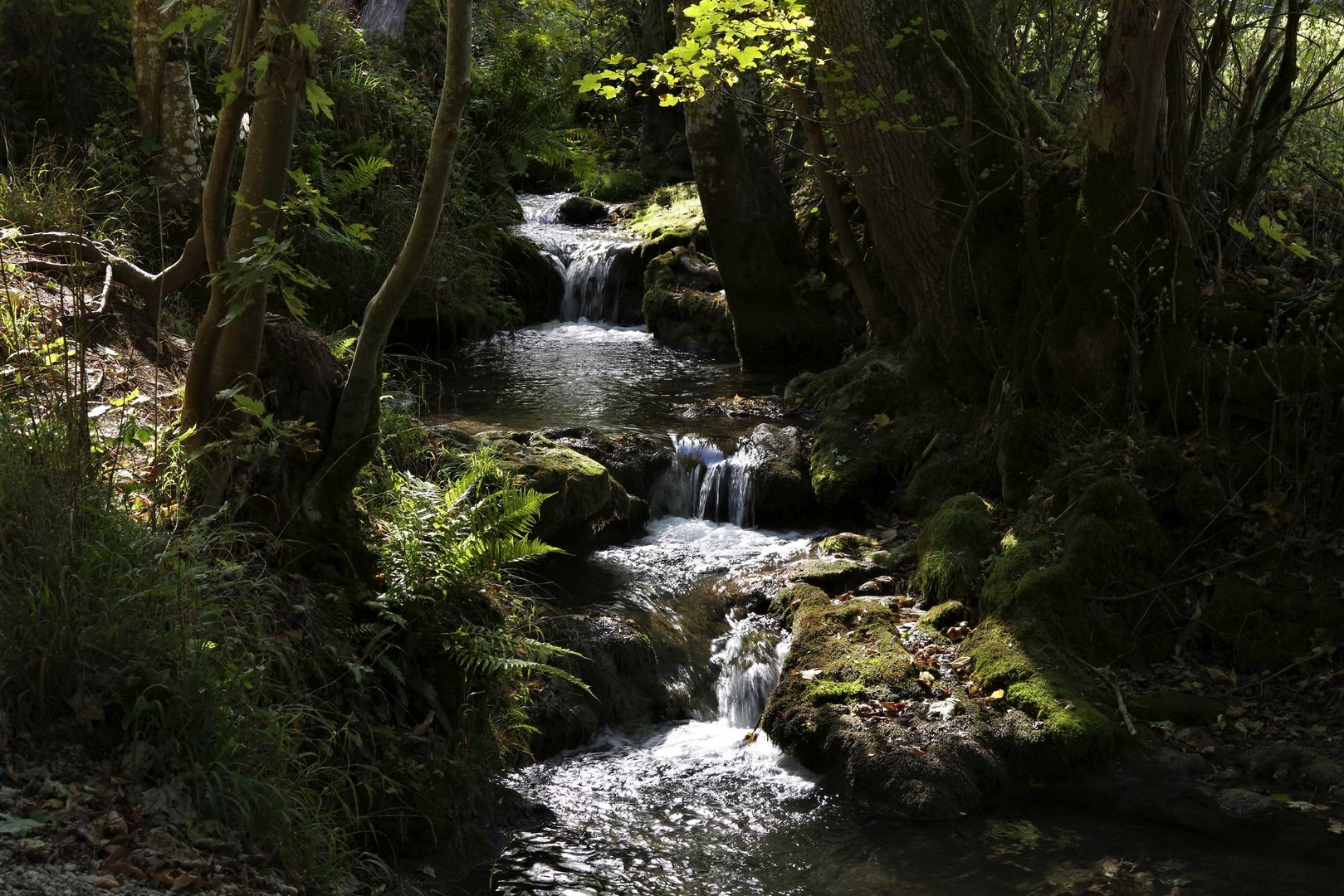 der Brühlbach bei Bad Urach