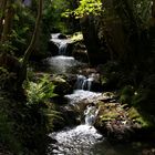 der Brühlbach bei Bad Urach