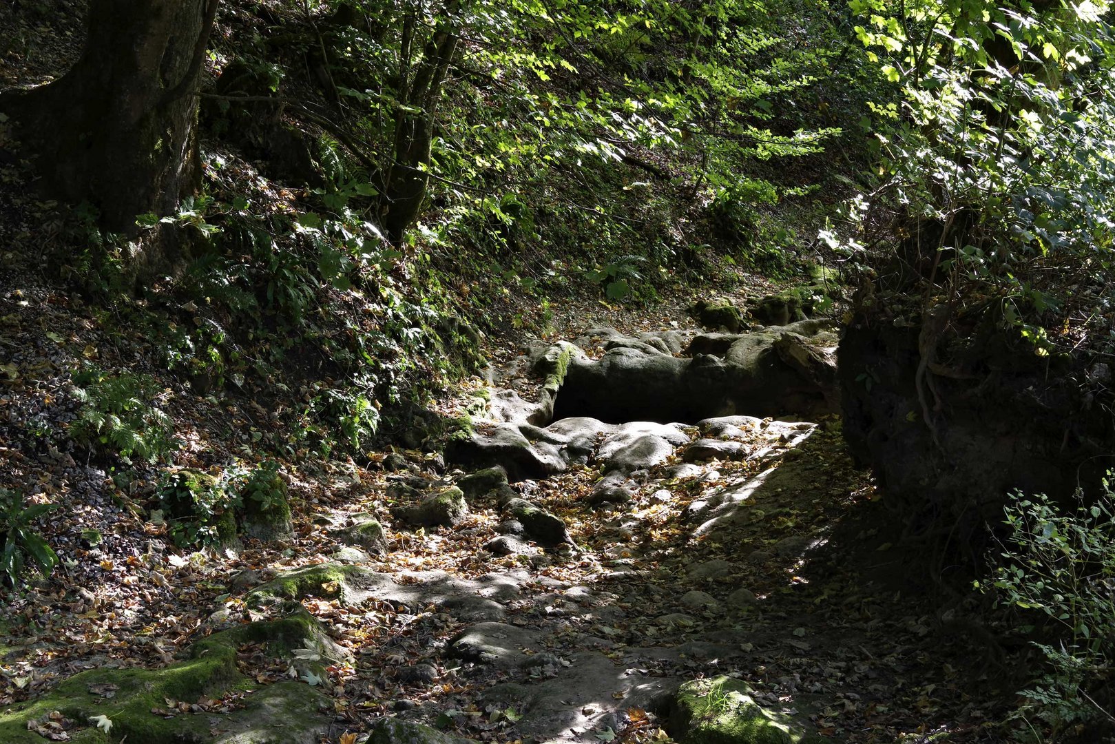 der Brühlbach bei Bad Urach