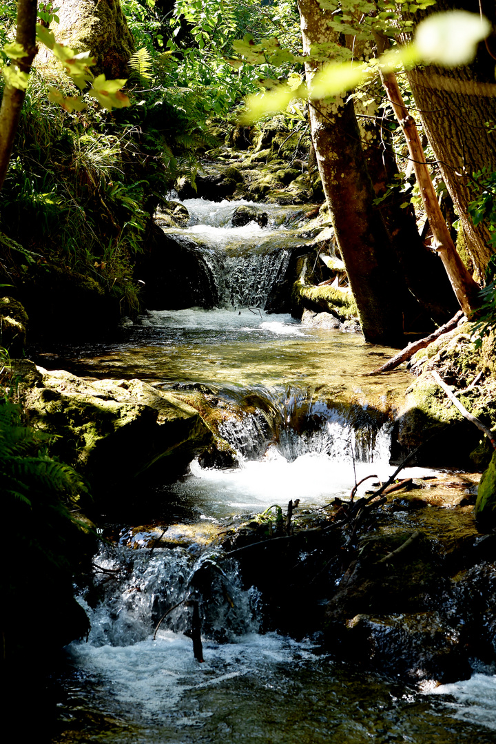 Der Brühlbach unter dem Bad Uracher Wasserfall