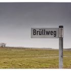 Der Brüllweg im Winter