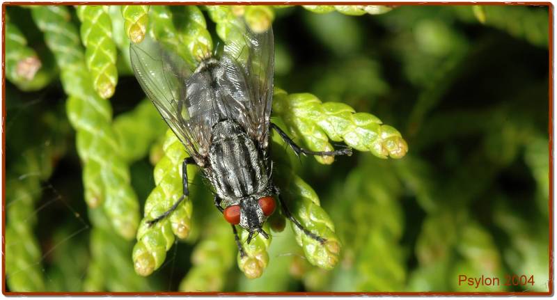 Der Brummer macht ne Pause!