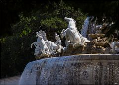 Der Brunn von Schönbrunn :-)