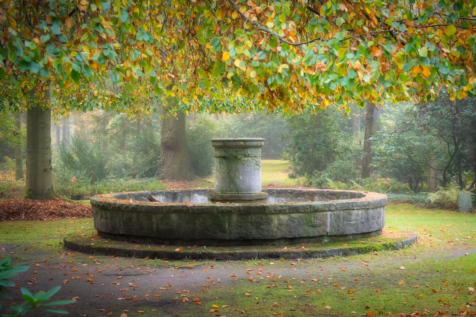 Der Brunnen Foto & Bild wasser, bäume, grab Bilder auf