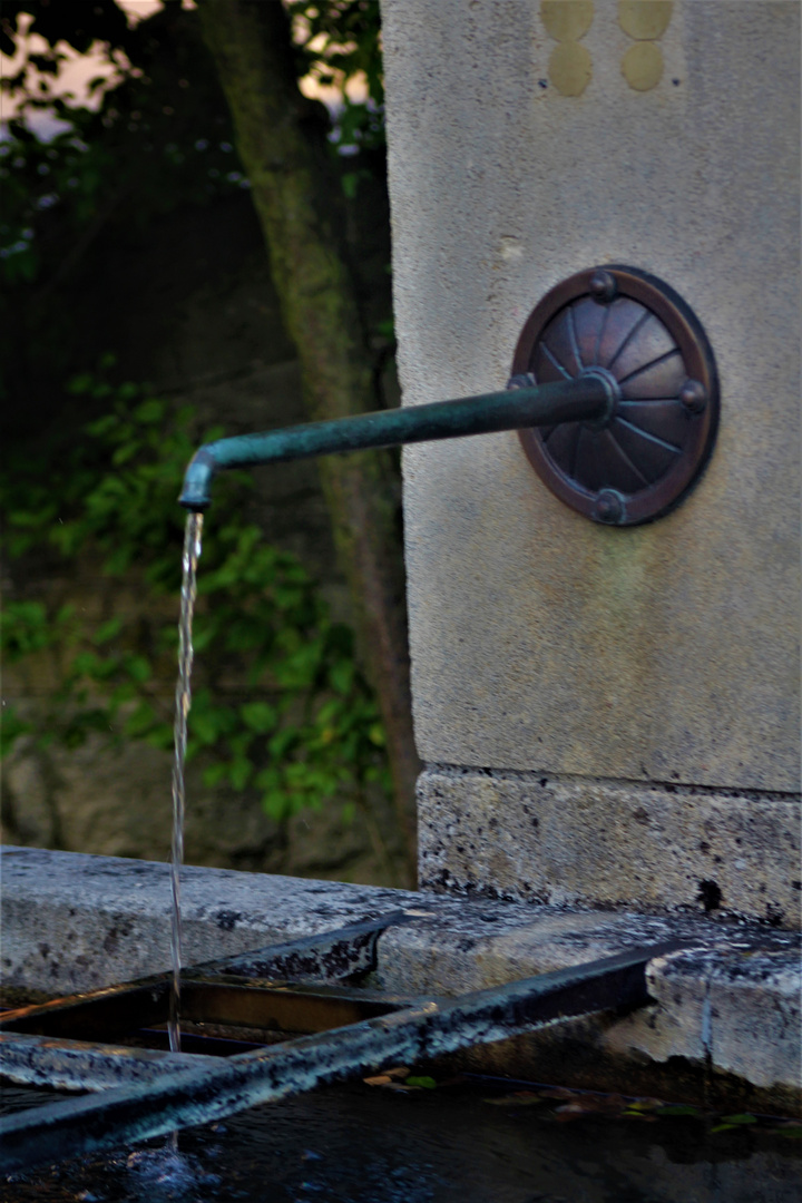  der Brunnen