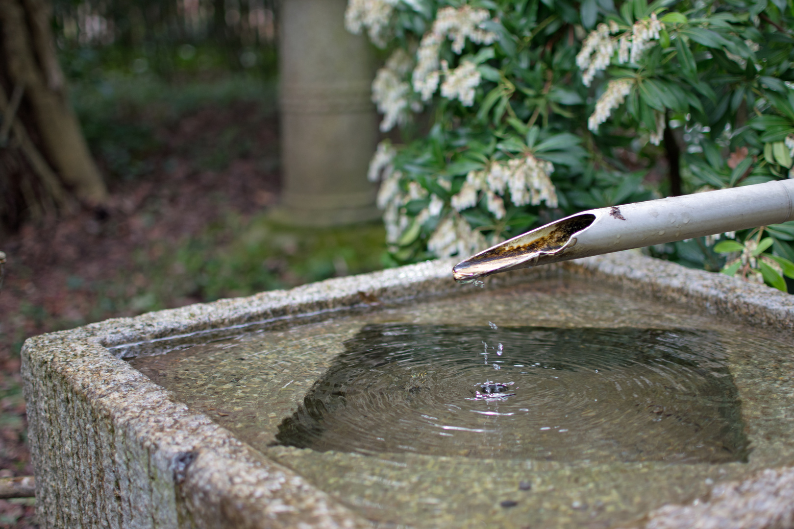 Der Brunnen