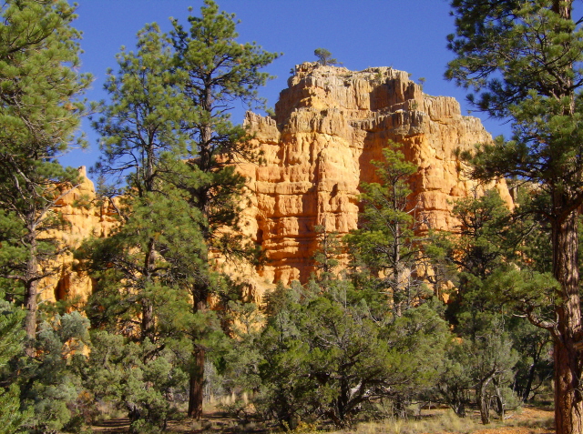 Der Bryce Canyon Nationalpark im Westen der USA