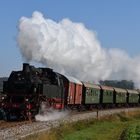 Der "Bubikopf" auf der Strohgäubahn