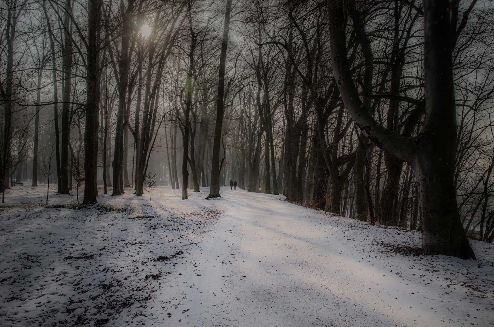 Der Buchenweg 2