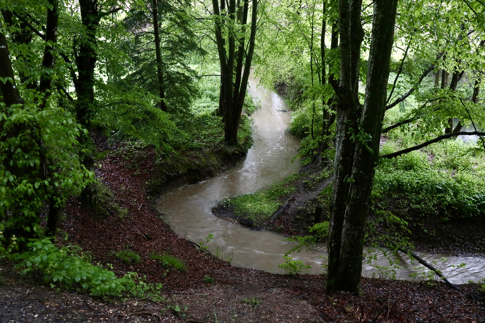 Der Bucher Bach im Mairegen 