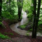 Der Bucher Bach im Mairegen 