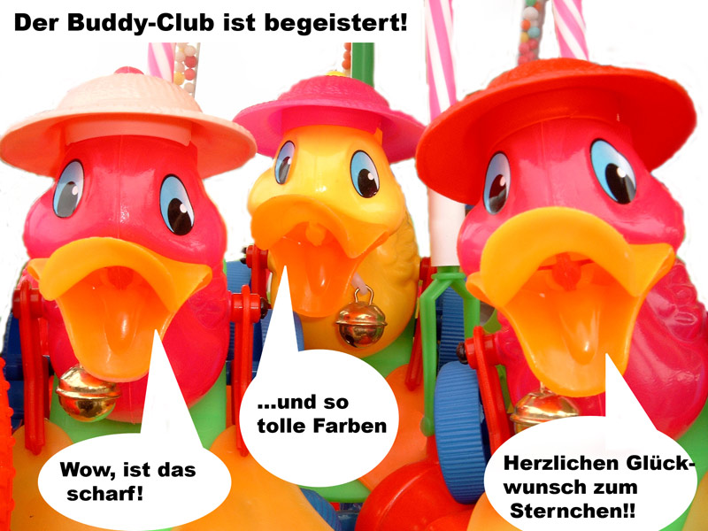 Der Buddie-Club ist begeistert !