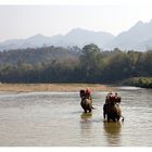 Der Büffel prahlt nicht mit seiner Kraft, wenn der Elefant da ist.  (aus dem Senegal)