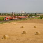 Der Bügel passt erneut