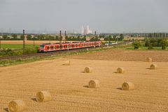 Der Bügel passt erneut