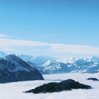 Der Bürgenstock & die Alpen