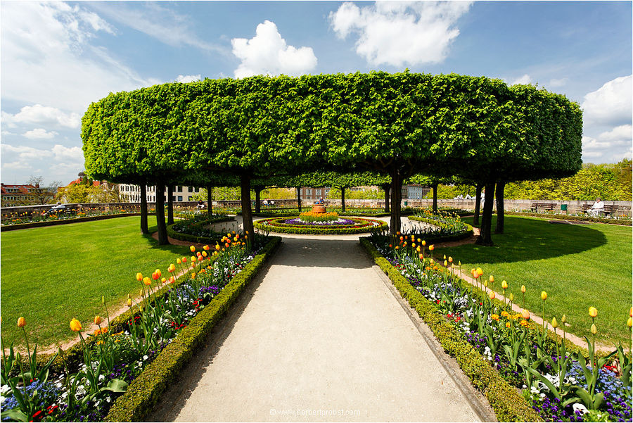 Der Bürgermeistergarten...