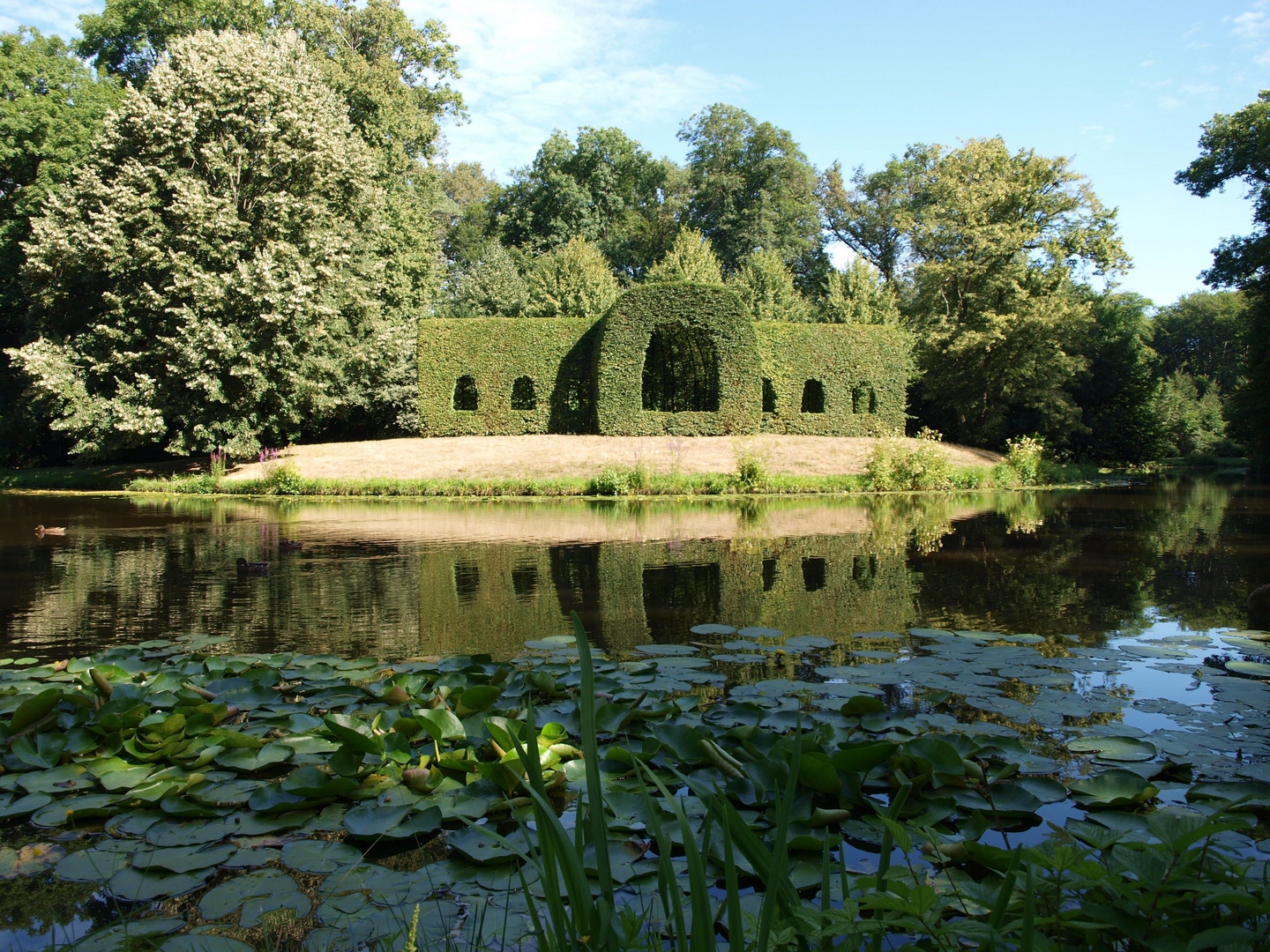 Der Bürgerpark