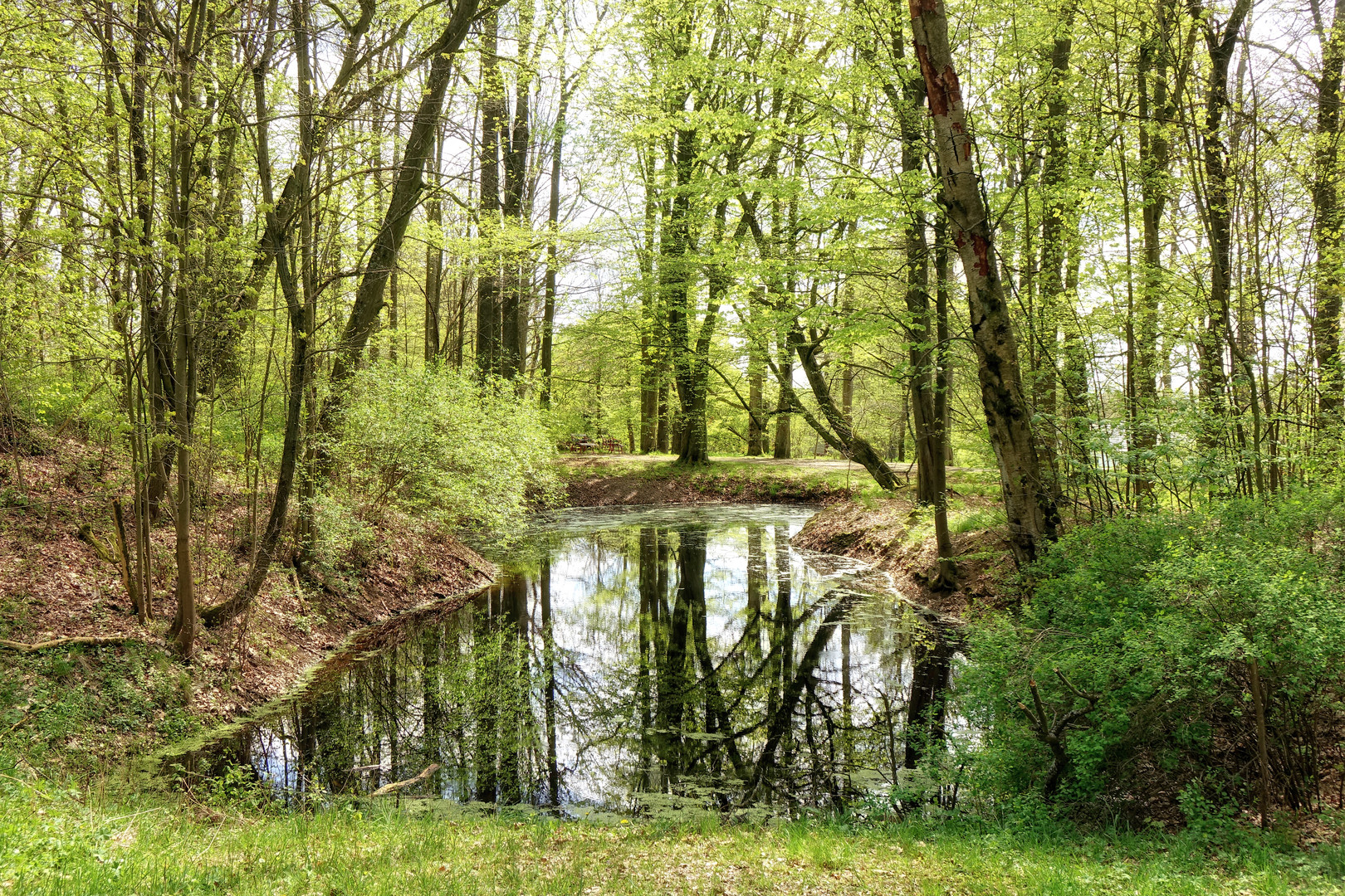 der Bürgerpark Theresienstein ...