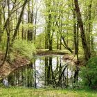 der Bürgerpark Theresienstein ...