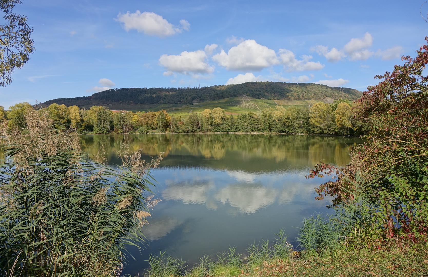 der Bürgerweiher in Iphofen ...