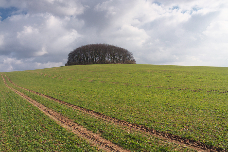 Der Bürstenberg