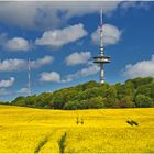 Der Bungsberg ist ...