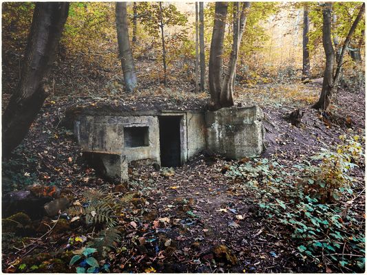 der Bunker im Wald