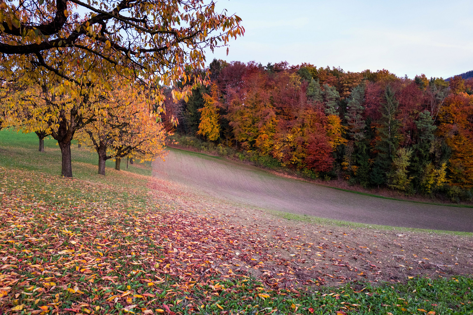 Der bunt gerahmte ...