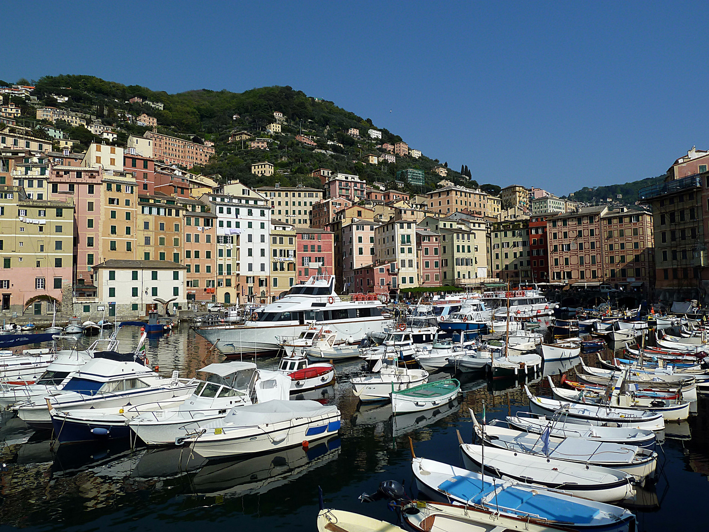 Der bunte Hafen von Camogli