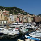 Der bunte Hafen von Camogli