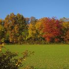 der bunte Herbst