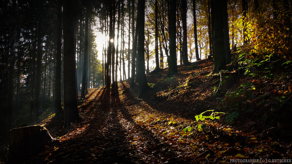 der bunte Herbst neigt sich dem Ende