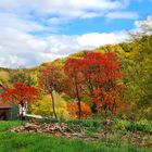 der bunte Herbst verabschiedet sich langsam