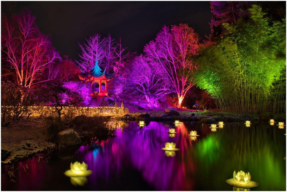 der bunte japanische Garten