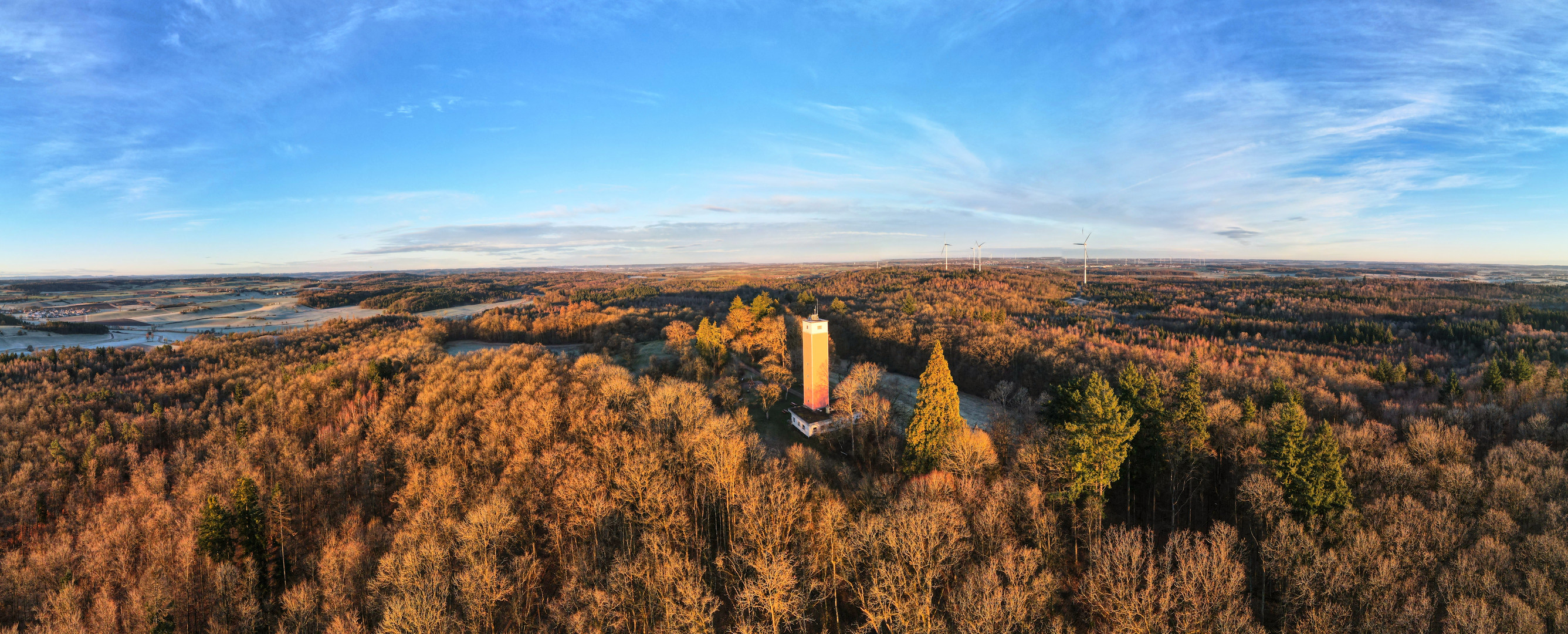 Der Burgbergwald im Februar 24 bei Sonnenaufgang